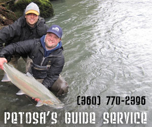 Petosa Guide ad