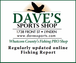 Dave's Sports Shop