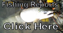 whatcom fishing reports