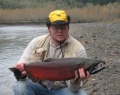 Nooksack river silver salmon