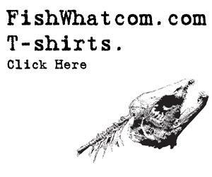 fishwhatcom t-shirts